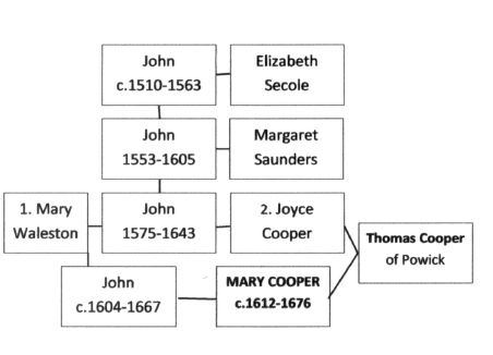 Mary Cooper Tree