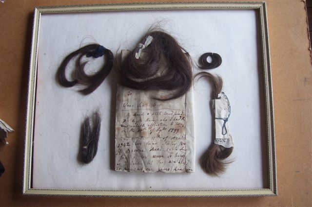 Hair Specimens