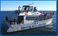 Aquac Blue Charters